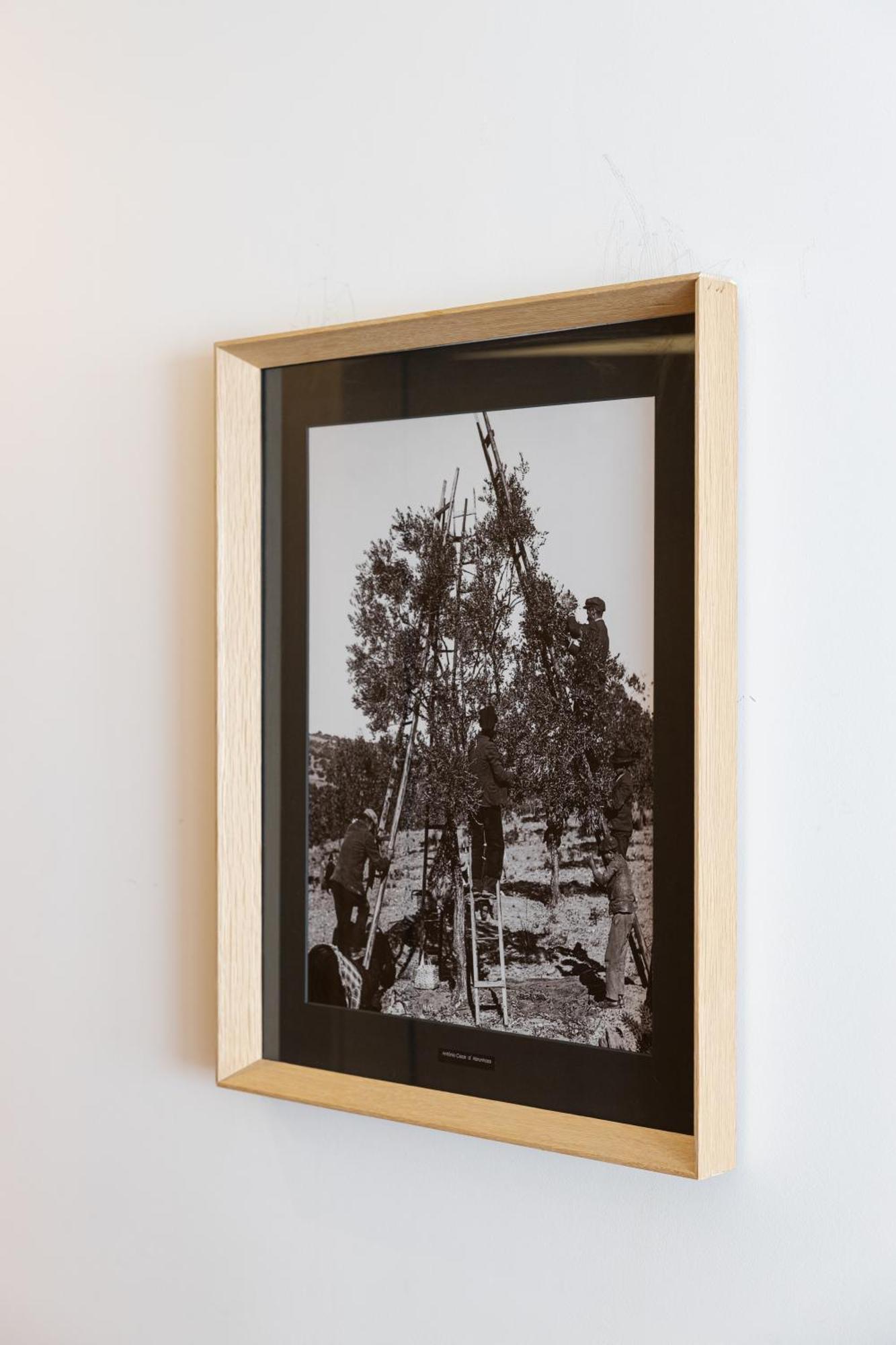 Evora Olive Hotel Luaran gambar